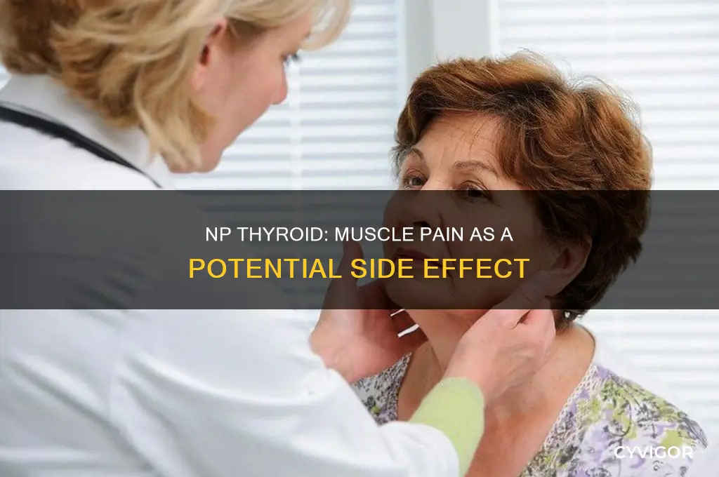 can np thyroid cause muscle pain