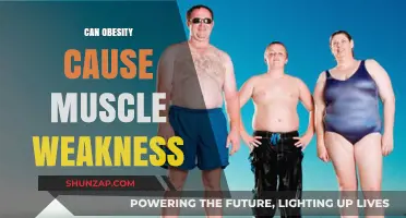 Obesity's Impact: Muscle Weakness and Fatigue