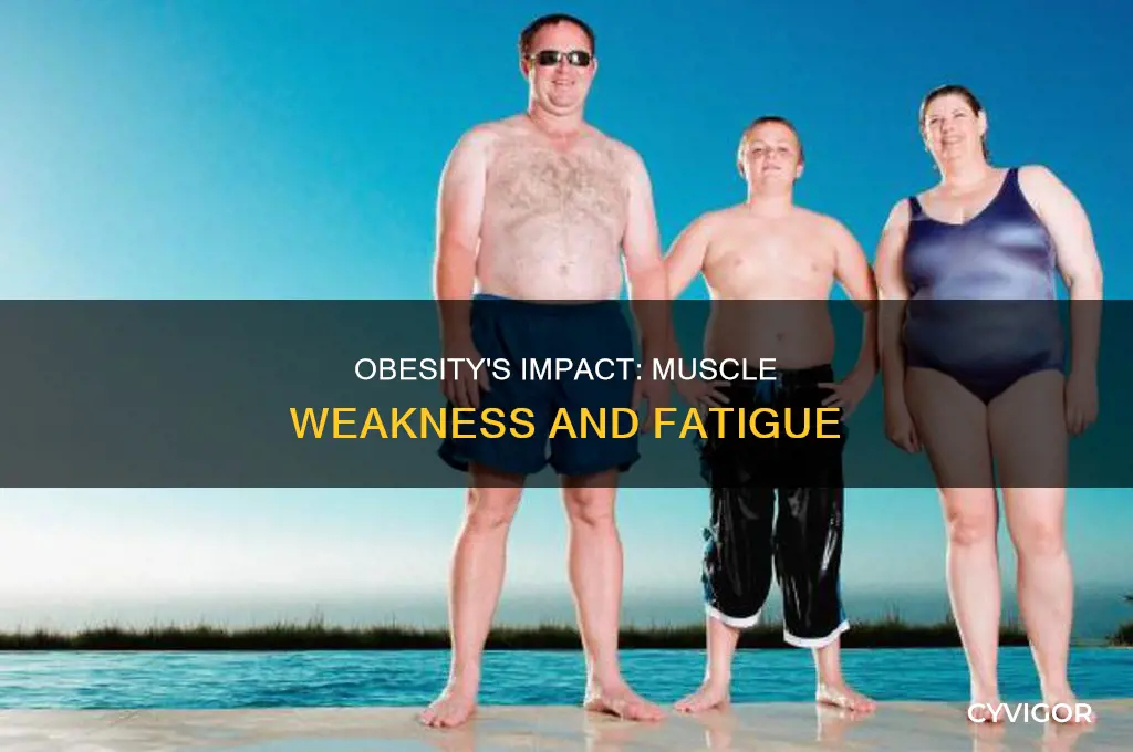 can obesity cause muscle weakness