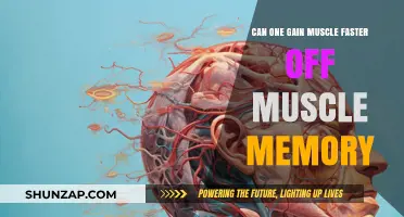 Muscle Memory: The Key to Accelerating Muscle Gain?