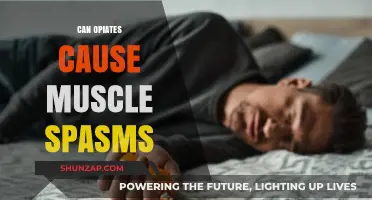 Opiates and Muscle Spasms: What's the Link?