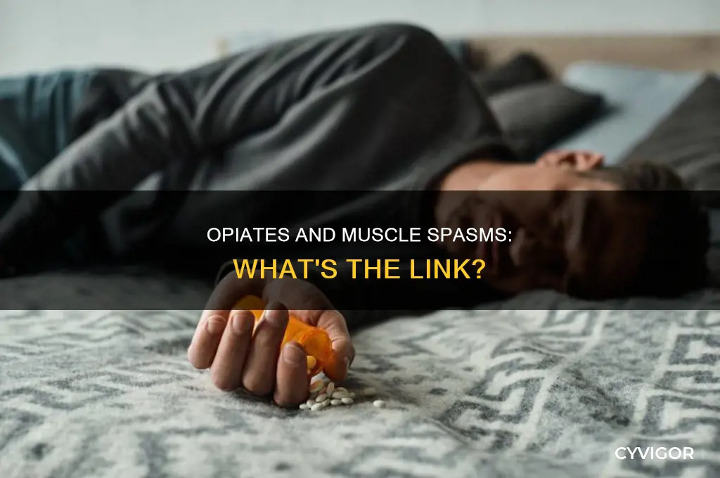 can opiates cause muscle spasms
