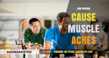 Opioids and Muscle Aches: What's the Connection?