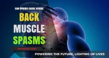 Opioids and Back Spasms: What's the Connection?