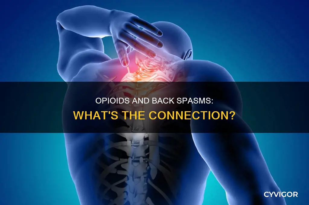 can opioids cause severe back muscle spasms