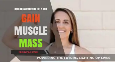 Orangetheory for Muscle Gain: Effective Strategy or Just Hype?
