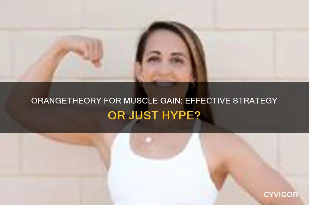 can orangetheory help you gain muscle mass