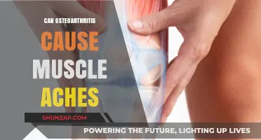 Osteoarthritis: Understanding Muscle Aches and Their Causes