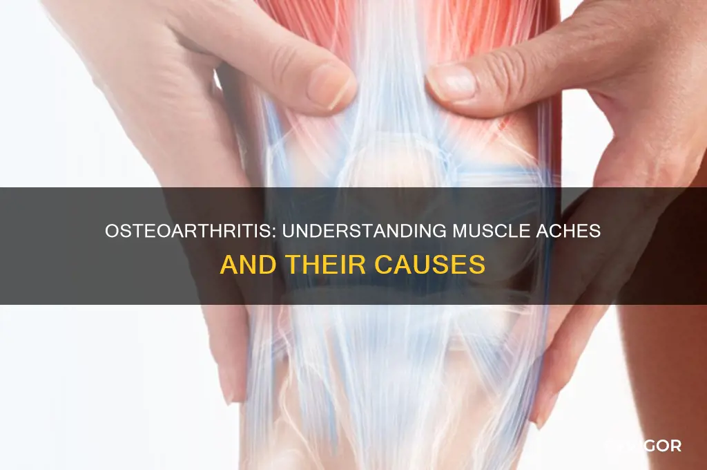 can osteoarthritis cause muscle aches