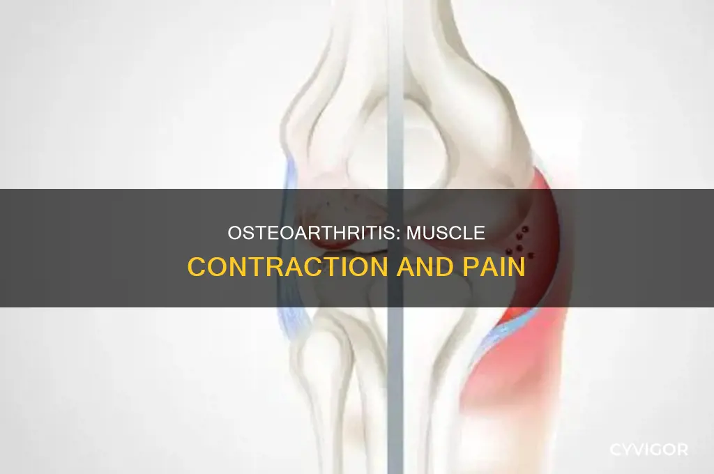 can osteoarthritis cause muscle contraction