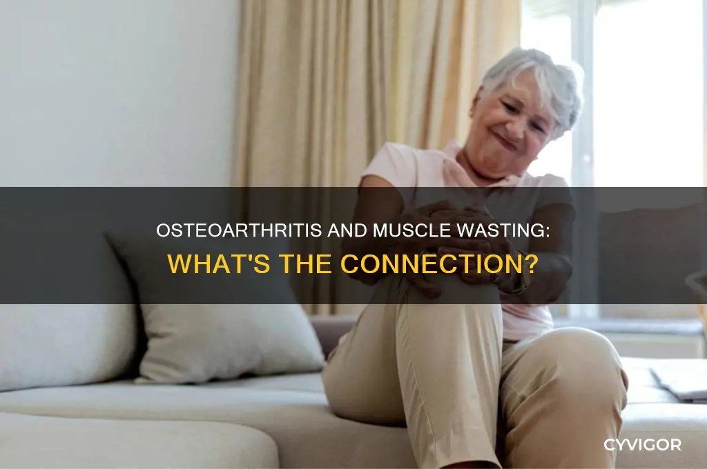 can osteoarthritis cause muscle wasting