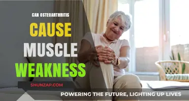 Osteoarthritis: Muscle Weakness and Loss of Strength