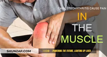 Osteoarthritis: Understanding Muscle Pain and Its Causes