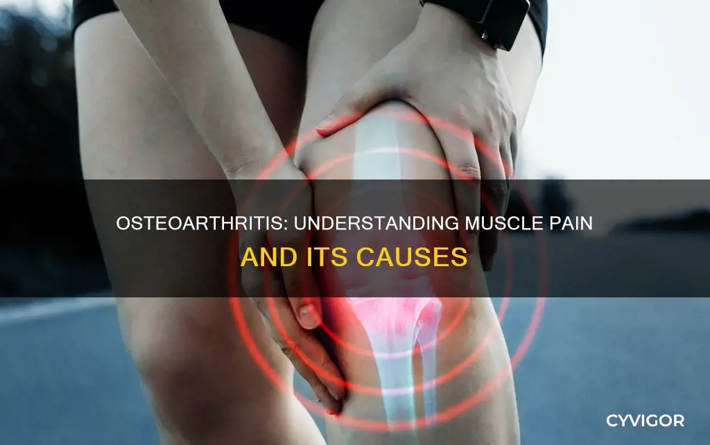 can osteoarthritis cause pain in the muscles