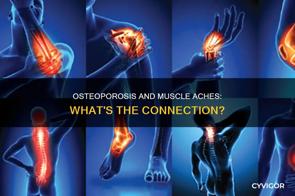 can osteoporosis cause muscle aches