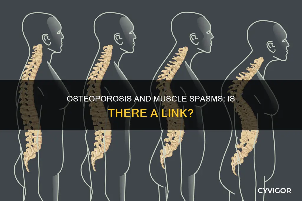 can osteoporosis cause muscle spasms