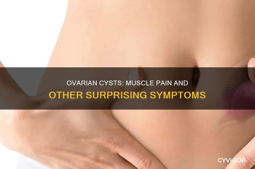 can ovarian cyst cause muscle pain