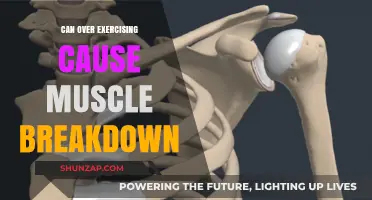 Exercise and Muscle Breakdown: When Does It Happen?