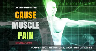 Methylation and Muscle Pain: What's the Link?