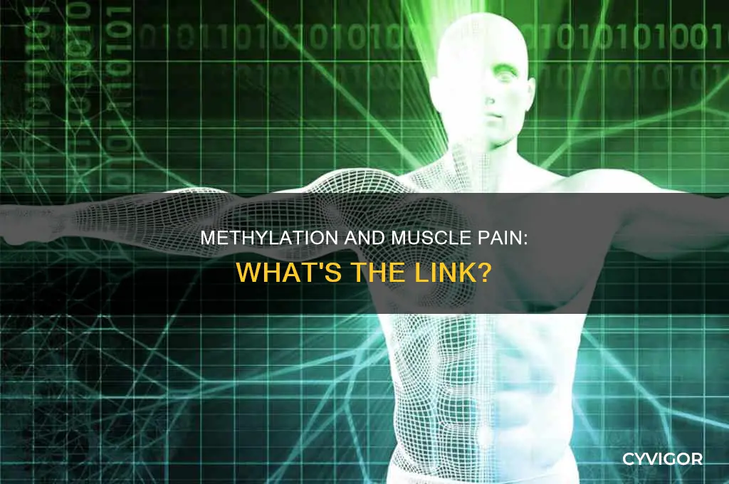 can over methylation cause muscle pain