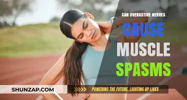 Overactive Nerves: A Trigger for Muscle Spasms?