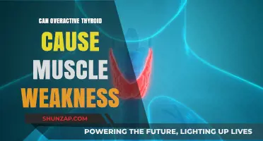Thyroid Troubles: Muscle Weakness and Overactivity