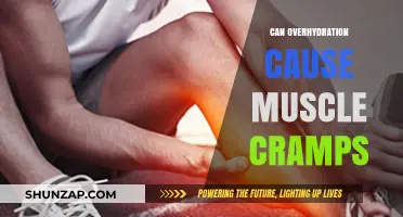Hydration and Muscle Cramps: What's the Connection?