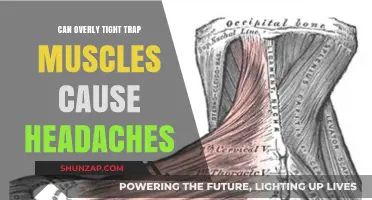 Tight Trap Muscles: A Surprising Cause of Headaches
