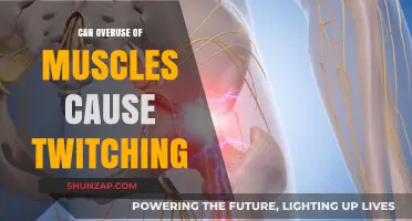 Muscle Twitching: Overuse and Its Consequences