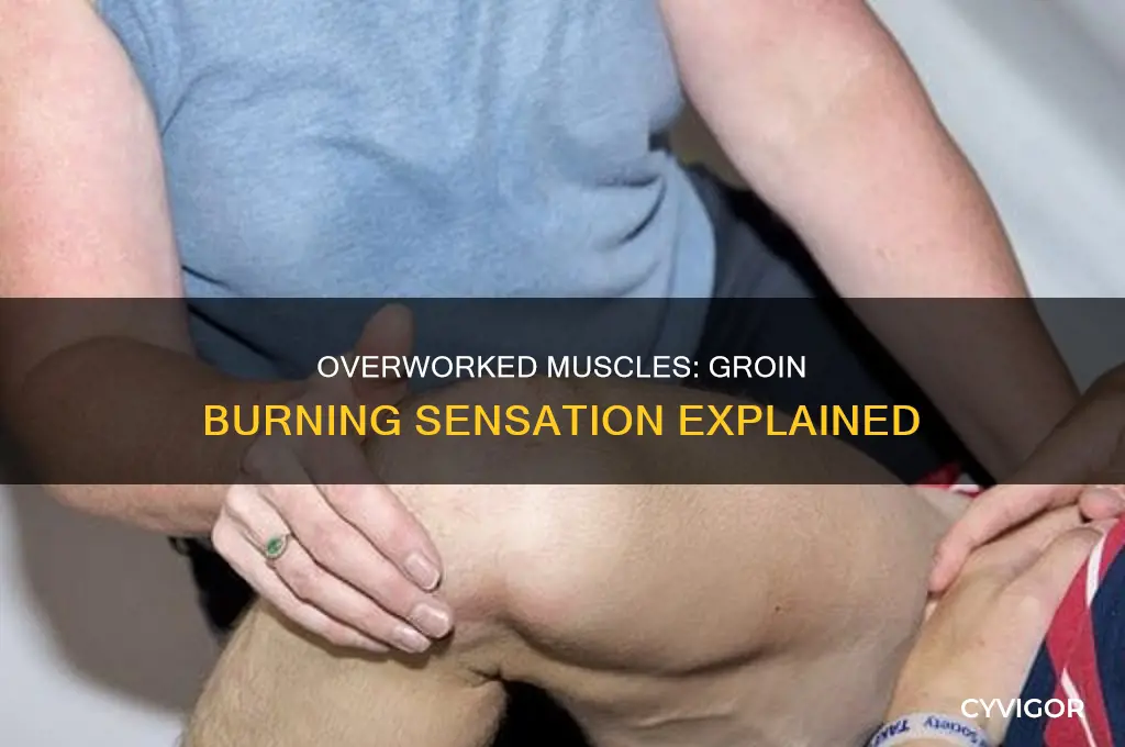 can overworked muscle cause burning in groin area