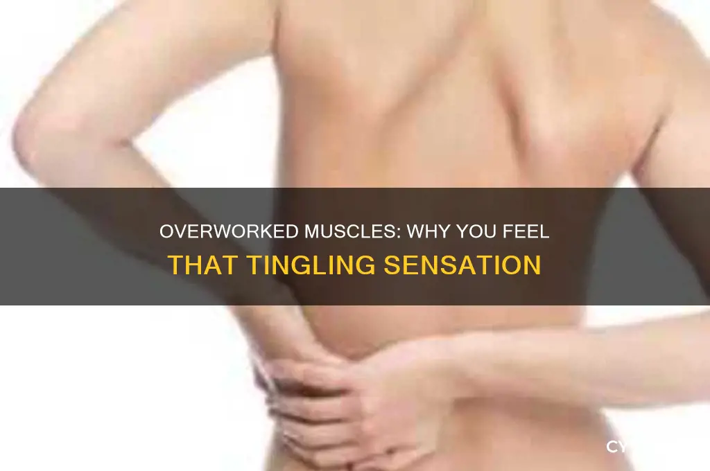 can overworked muscles cause tingling