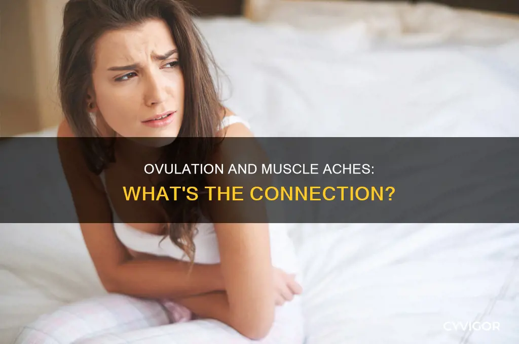 can ovulation cause muscle aches