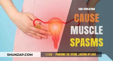 Ovulation and Muscle Spasms: What's the Link?