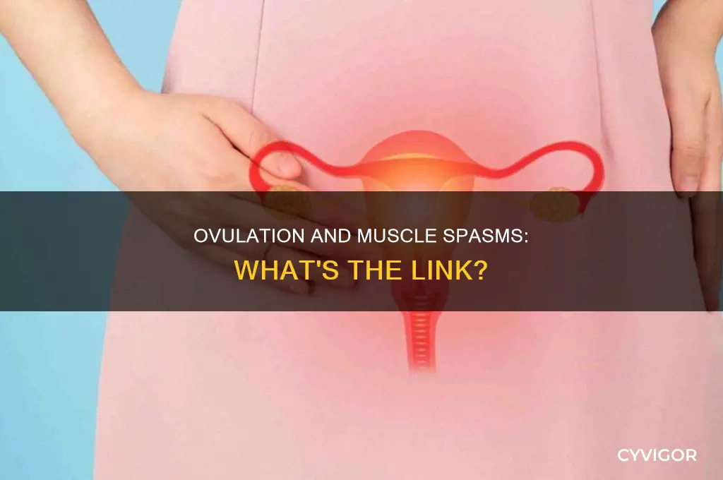 can ovulation cause muscle spasms
