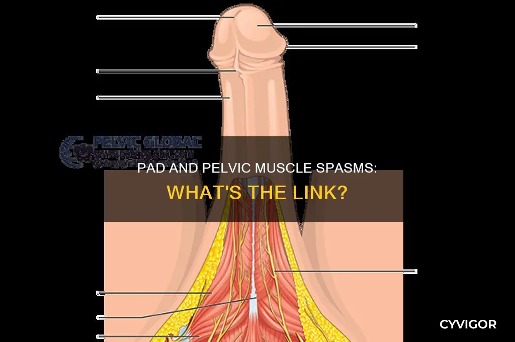 can pad cause pelvic muscle spasms
