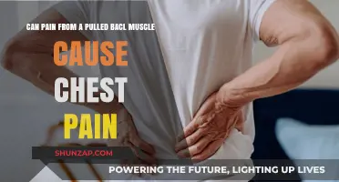 Pulled Back Muscle: Can It Cause Chest Pain?