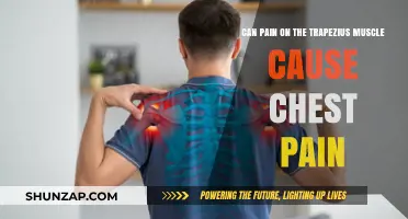 Trapezius Muscle Pain: Can It Cause Chest Pain?