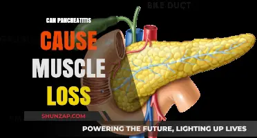 Pancreatitis and Muscle Loss: What's the Connection?