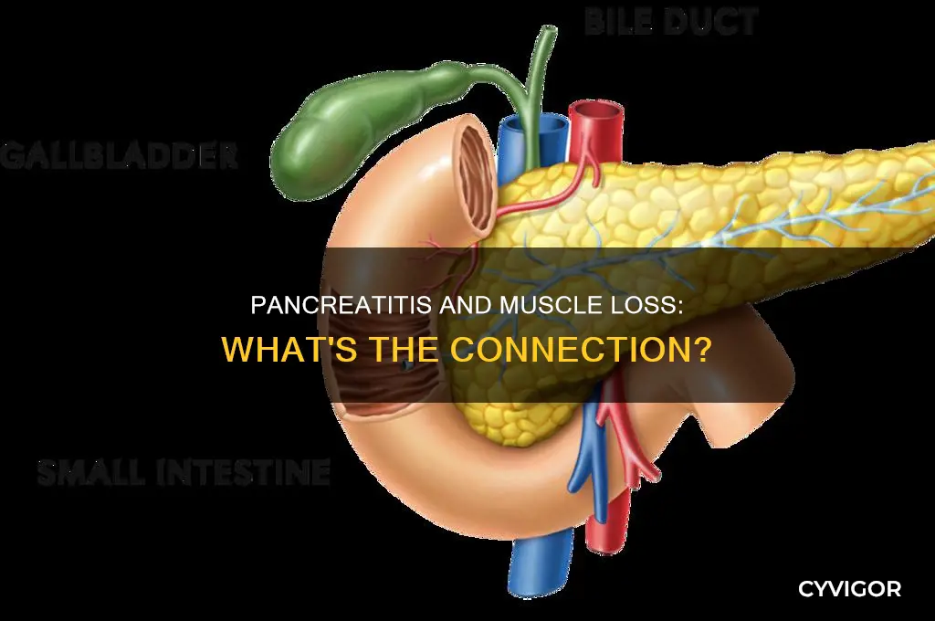 can pancreatitis cause muscle loss