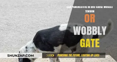 Pancreatitis in Dogs: Link to Muscle Tension and Wobbly Gait?