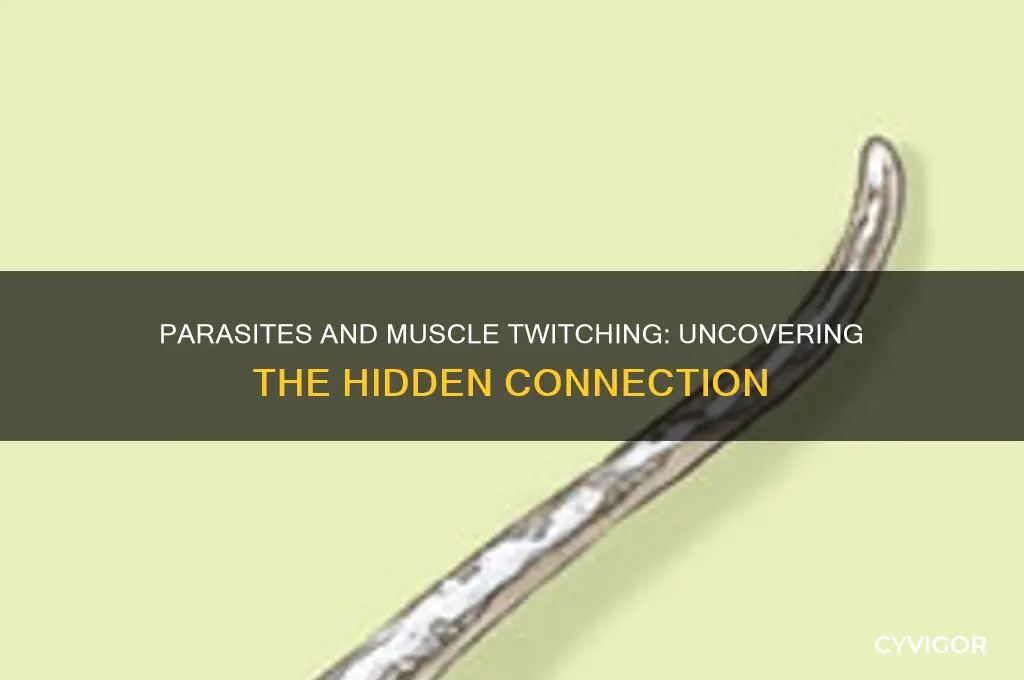 can parasite cause muscle twitching