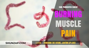 Parasites and Muscle Pain: Unraveling the Burning Sensation Mystery