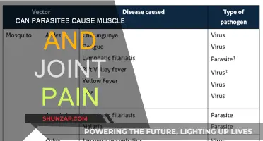 Parasites and Pain: The Link to Aches and Pains