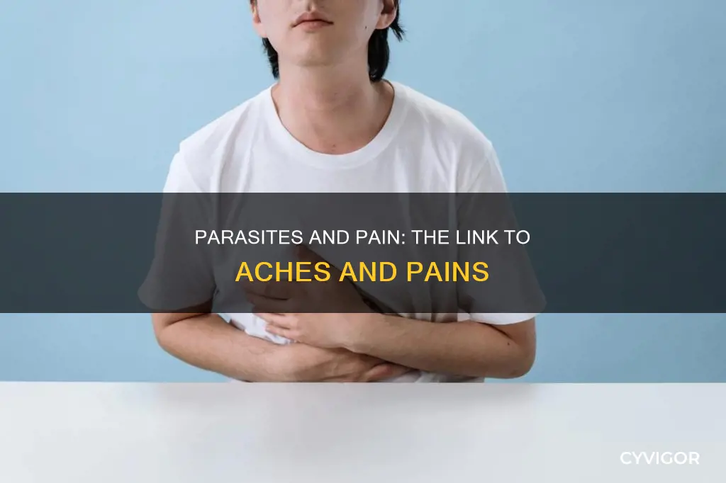 can parasites cause muscle and joint pain