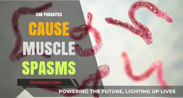 Parasites and Muscle Spasms: Uncovering the Hidden Connection