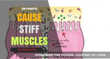 Parasites and Muscle Stiffness: Uncovering the Hidden Connection