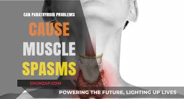 Parathyroid Issues and Muscle Spasms: Uncovering the Hidden Connection