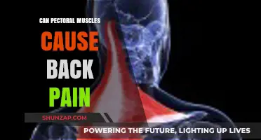 Pectoral Muscles and Back Pain: Uncovering the Surprising Connection