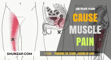 Pelvic Floor Dysfunction: Unraveling the Link to Muscle Pain and Discomfort