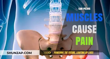 Pelvic Muscle Pain: Causes, Symptoms, and Effective Relief Strategies